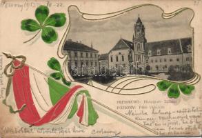 Pozsony Prä litho (win Riß)