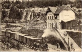 Tusnádfürdő, Baile Tusnad; vasútállomás gőzmozdonnyal. Oscar Adler / Bahnhof / Gara / railway station with locomotive
