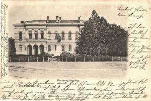 1902 Szombathely, Berzsenyi szobor. Kiadja Özv. Fekete Istvánné (fl)