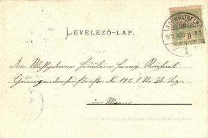 1902 Szombathely, Berzsenyi szobor. Kiadja Özv. Fekete Istvánné (fl)