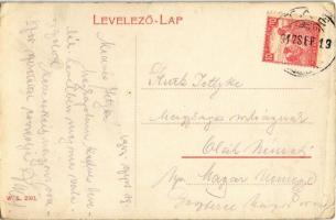 1917 Tab, vasútállomás III. osztályú felvételi épülete, gőzmozdony / Bahnhof / railway station, loco...