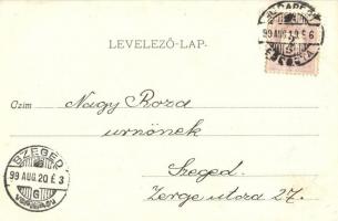 1899 Budapest XIII. Lipót körút, Café Vígszínház kávéház, üzletek. Divald Károly 54/a. sz. (vágott /...