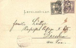 1901 Budapest XIV. Városligeti tó, Vajdahunyad vára. Ganz Antal 54. (EK)