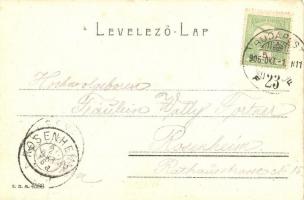 1906 Budapest XIII. Margitsziget, fürdőház. Ganz Antal 55. (EK)