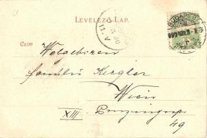 1900 Budapest, Margit híd, Margitsziget Budáról felvéve. Kiadja Schmidt Edgar (EK)