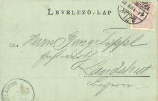 1898 Budapest V. Széchenyi szobor, Magyar Tudományos Akadémia (vágott / cut)