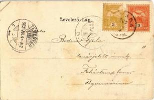 1902 Gödöllő, vasútállomás. Nemesánszky Józsefné kiadása. Virágos szecessziós keret / Art Nouveau, f...