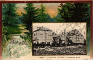 1907 Szeged, Állami felsőbb leányiskola és kereskedelmi iskola. Erdős litho keret / forest litho frame