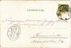 1904 Debrecen, Szabadság és Csokonai szobor. Schwarcz Dániel kiadása. Pillangós litho montázs / Butt...