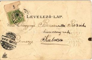 1907 Mohács, Kálvinista mátkapár, sokácok, Központi szálloda, Dunagőzhajózási társaság állomása. Wei...