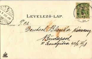 1906 Pécs, Sétatér, Fürst Lipót kiadása. Makkos dombornyomott litho művészlap / Acorn Emb. litho (EK...