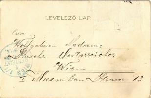 1901 Budapest II. Császár fürdő, belső. Art Nouveau, floral, litho (Rb)