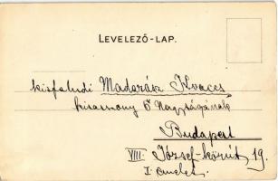 1898 (Vorläufer!) Budapest VII. Hungária Vasfürdő. Nyár utca 7. Bruchsteiner Ármin és Richárd szeces...