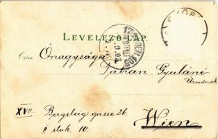 1903 Győr, Új városháza. Röszler Károly, címeres litho (Rb)