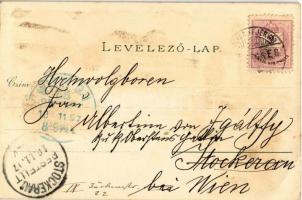 1897 (Vorläufer!) Székesfehérvár, Vörösmarty szobor, püspöki palota, megyeház, színház, Nádor utca, ...