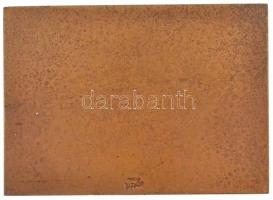 Holló Barnabás (1865-1917) DN "Báró Wesselényi Miklós emlékverseny - Balatoni távúszás" Br...