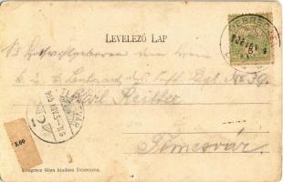 1905 Debrecen, Csolnakázó (Csónakázó) tó II. (kis lyuk / pinhole)