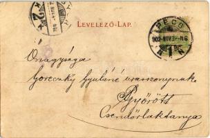 1902 Pécs, Tettyei út, Dr. Löwy-féle palota, Kerékpár versenypálya. Günsberg Lajos kiadása. Art Nouv...