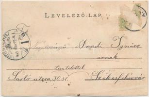 1905 Edelény, Coburg-kastély, bank épület, vasútállomás, téli képek. floral (r)