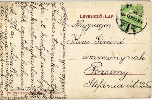 1914 Pozsony, Pressburg, Bratislava; Szent Orsolya zárda, Képezdei csoport / girl students of the nu...