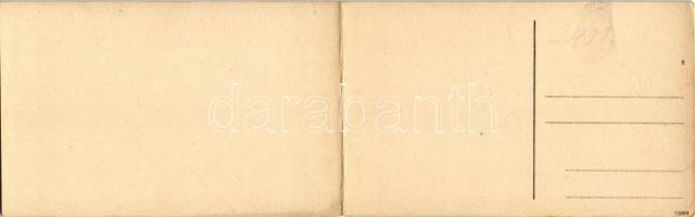 Dévény, Theben a. d. Donau, Devín (Pozsony, Bratislava); panoramacard