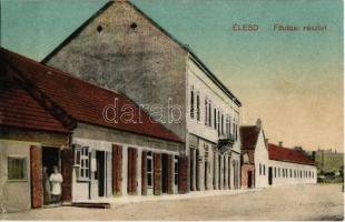Élesd, Alesd; Fő utca, Léderer József üzlete / main street with shop