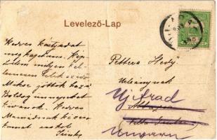 1908 Arad, Újarad, Aradul Nou; Főszolgabírói hivatal, Mayr Lajos üzlete / judge's office, shop ...