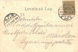 1903 Budapest VI. Andrássy út az Operával. Art Nouveau, litho (apró lyuk / tiny hole)