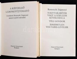 Remenyik Zsigmond: Nagytakarítás. Remenyik Zsigmond szatirikus esszéiből. A Képzelgő lámpagyújtogató...