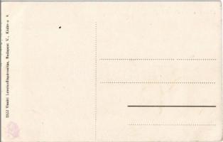 Kiskapus, Kleinkopisch, Copsa Mica; Küküllő folyó és híd / Tarnava river and bridge