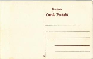 Péterfalva, Petersdorf, Petresti; Papírgyár, hivatalnokok lakóházai / Papierfabrik, Beamten-Wohnhäus...