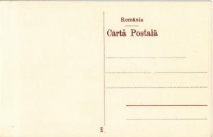 Péterfalva, Petersdorf, Petresti; Papírgyár, hivatalnokok lakóházai / Papierfabrik, Beamten-Wohnhäus...