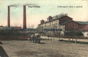 1906 Nagysurány, Surany; Cukorgyári utca a gyárral. Kiadja Deutsch Ármin 521. / sugar factory (EK)