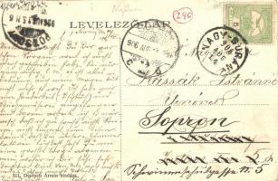 1906 Nagysurány, Surany; Cukorgyári utca a gyárral. Kiadja Deutsch Ármin 521. / sugar factory (EK)