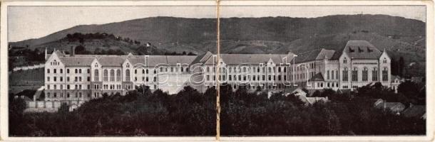 Pécs, J. t. Pius-Kollégiuma az alapítványi főgimnáziummal és internátussal. Déli homlokzat 1914-ben. panoramacard