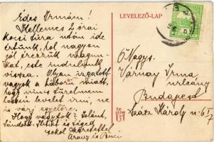 1914 Igal, Anna gőzmalom, utca, Járásbíróság, Enderle Jakab üzlete (fa)