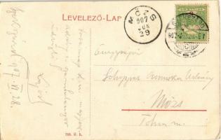 1907 Szekszárd, M. kir. törvényszéki palota. W.L. 768.  (EK)