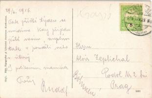 1915 Karánsebes, Caransebes; Törvényszéki palota, árus kosárral / forensic palace, court, vendor