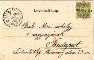 1903 Lugos, Lugoj; Törvényház, építkezéshez felhalmozott kövek. Auspitz Adolf kiadása / court, piled...