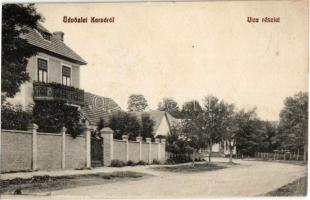 Karva, Kravany nad Dunajom; utcakép, villa / street, villa