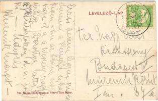 Karva, Kravany nad Dunajom; utcakép, villa / street, villa