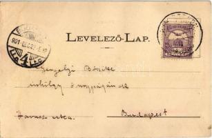 1901 Kisszeben, Zeben, Sabinov; Fő utca, Friedmann és Birnbaum üzlete, templom. Stehr Gusztáv kiadás...