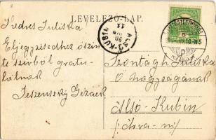 1908 Liptószentmiklós, Liptovsky Mikulas; Kir. járásbíróság és sétány / county court and promenade