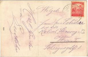 Nagyölved, Velké Ludince; Szövetkezeti üzlet / cooperative shop