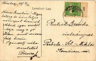 1907 Likavka, Likava (Rózsahegy, Ruzomberok); várrom. Fischer M. kiadása / Likavsky zámok / castle r...