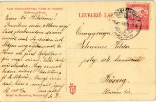 1918 Selmecbánya, Schemnitz, Banská Stiavnica; Kolos leánynevelő intézet, kilátás / girl school