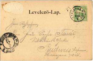 1900 Szabadka, Subotica; Törvényszék télen. Heumann Mór kiadása / court in winter (Rb)