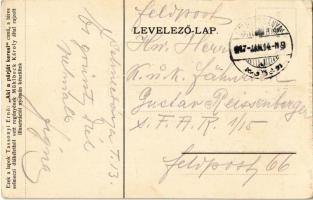 1907 Selmecbánya, Schemnitz, Banská Stiavnica; Steingrubeni disznótori menet. Éljen a bíró meg a dis...