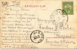 1908 Isaszeg,  az isaszegi győzelmes csatában elesett hős honvédek emlékének, honvéd szobor, emlékmű...