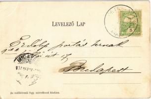 1907 Erdőkövesd, Gróf Károlyi Viktorné és Ivady Albert kastélyai (EK)